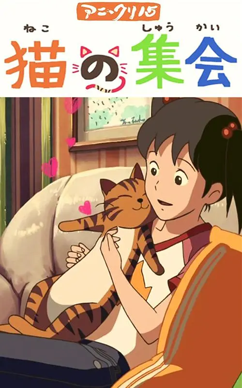 后台护士